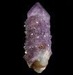 Cactus Quartz (Amethyst) Crystal - South Africa #64235-1